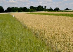 Щорічний традиційний огляд дослідів кафедр